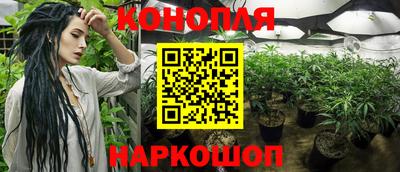 мяу мяу мука Славгород