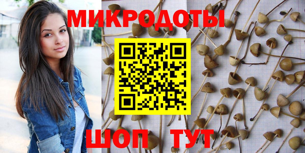 Псилоцибиновые грибы мицелий Новочеркасск