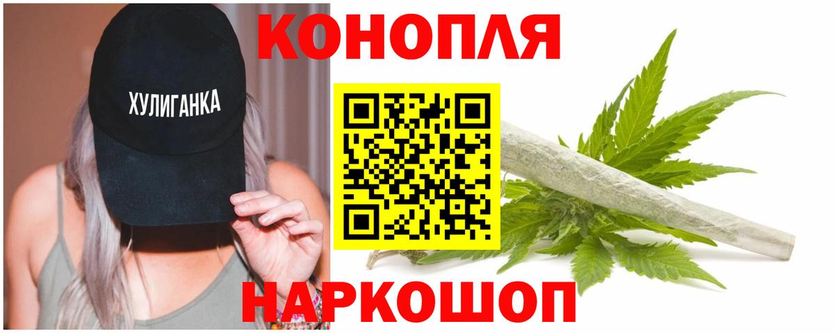 Каннабис OG Kush Новочеркасск